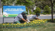 Mersin çiçek açıyor