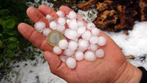Misket büyüklüğündeki dolu meyve bahçelerini vurdu