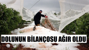 Mersin’de dolu afetinin bilançosu ağır