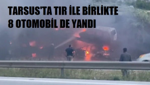 Otomobil taşıyan TIR alev alev yandı
