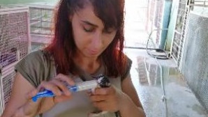 Yavru kediyi çöpe atmışlar