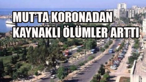 Bir haftada 3 kişi hayatını kaybetti