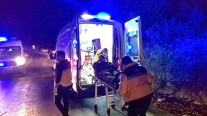 Hayvan yüklü kamyon devrildi: 2 kişi yaralandı, 8 hayvan telef oldu