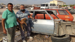 Kafası sıkışan yavru köpeği sanayi esnafı kurtardı