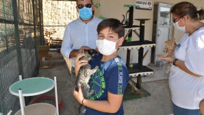 Mersin’deki hayvan barınağında 31 hayvan sahiplendirildi