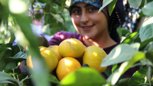 Dalında 1,5 markette 8 lira