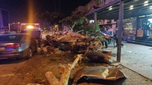 Mersin’deki feci kazada baba ve oğlu hayatını kaybetti