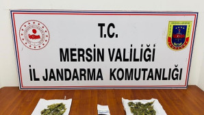 Jandarmadan uyuşturucu operasyonu: 3 gözaltı