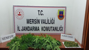 Mersin’de uyuşturucu operasyonu: 7 gözaltı