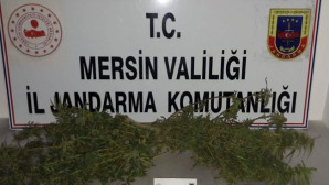 Tarsus’ta uyuşturucu operasyonu