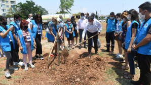 Yenişehir, jakaranda koruluğuyla renklenecek