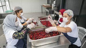 Güneş Enerjisi İle Kurutma Tesisi faaliyete geçti