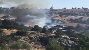 Mersin’de yangın çıkartan 1 kişi tutuklandı