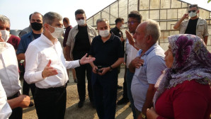 Bakan Yardımcısı İnce, yangın bölgesinde incelemelerde bulundu