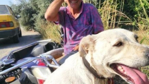 Köpeğe eziyet eden şahsı kayda alıp polise teslim ettiler