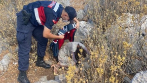İki gündür kayıp olarak aranan kadın ormanlık alanda bulundu