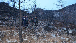 Gülnar’da yanan orman sahaları yeşillendiriliyor