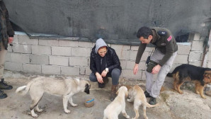 Polislerden sokak hayvanlarına mama desteği