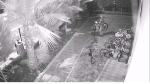 İki ayda 427 hırsızlık şüphelisi yakalandı