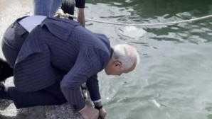 Ağa takılan caretta carettayı belediye başkanı kurtardı