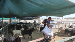 Toroslar’da kurban satış ve kesim alanları hazırlandı