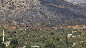 Orman yangını, küle dönen bölge havadan görüntülendi