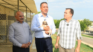 CHP MERSİN MİLLETVEKİLLERİ YENİŞEHİR  BELEDİYESİNİN HAYVAN BAKIMEVİNİ GEZDİ