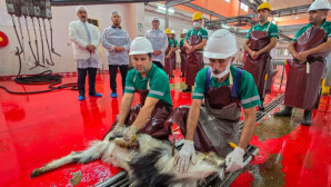 Büyükşehir Belediyesi şehitlerin anısına kurban kestirdi