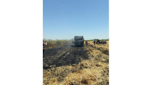 Buğday yüklü kamyon yandı