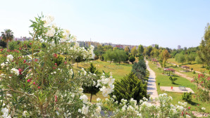 Toroslar’da parklar çiçek açtı