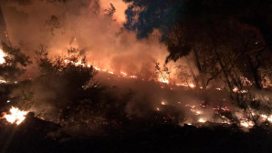 Erdemli’de orman yangını