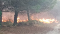 Tarsus’ta 3 hektar orman alanı yandı