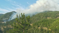 Anamur’da orman yangını