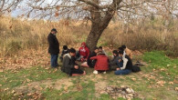 Mersin’de 14 düzensiz göçmen yakalandı