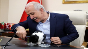 Başkan Gültak, engelli kediyi misafir etti