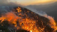Mersin’deki orman yangınlarıyla ilgili soruşturma başlatıldı