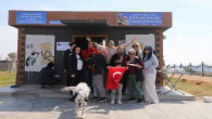 Akdeniz Belediyesi Sokak Hayvanları Kısırlaştırma Kliniği açılıyor