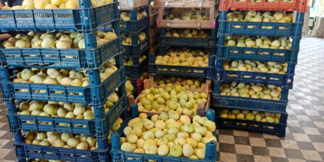 Beyaz incirin fiyatı bir haftada 24 liradan 10 liraya düştü